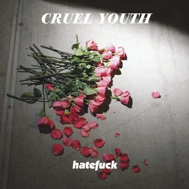 Hatefuck by Cruel Youth - album cover