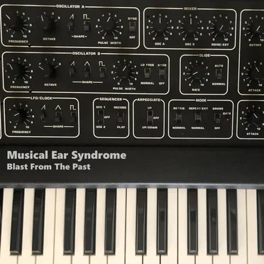Blast From The Past by Musical Ear Syndrome - album cover