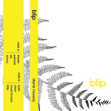 Blip