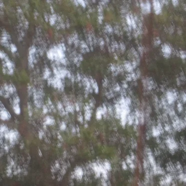 Apartment Atmosphere 9/14/2022