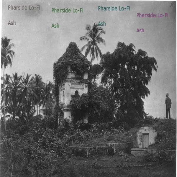 Pharside Lo‐Fi