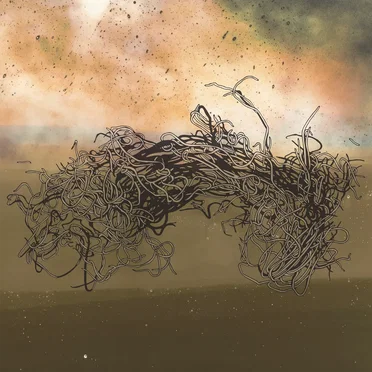 Prism of Dust by Ross Gentry - album cover
