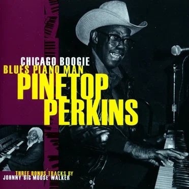 Chicago Boogie Blues Piano Man