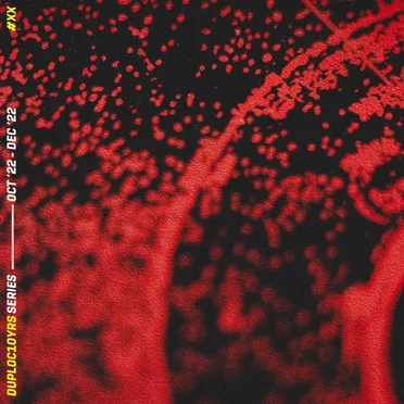 Celebrating a Decade #7: DUPLOC10YRS Series by Various Artists - album cover