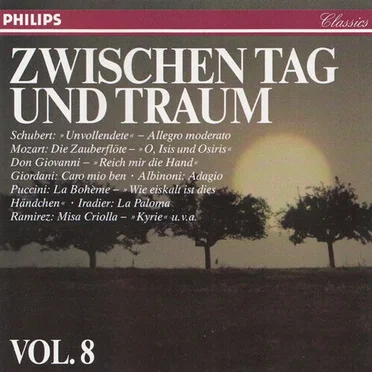 Zwischen Tag und Traum, Volume 8 by Various Artists - album cover