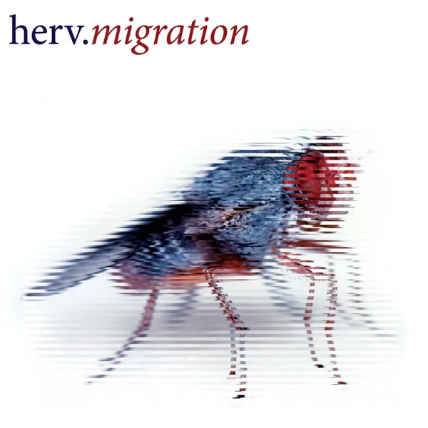 Migration