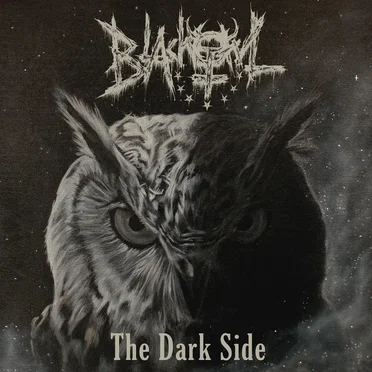 The Dark Side by Blackowl - album cover