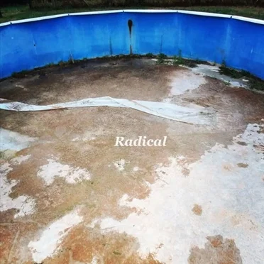 Nouvelle Vague by Radical - album cover