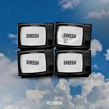 PillowTok