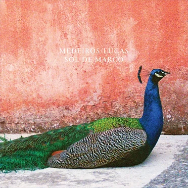 Sol de Março by MEDEIROS/LUCAS - album cover