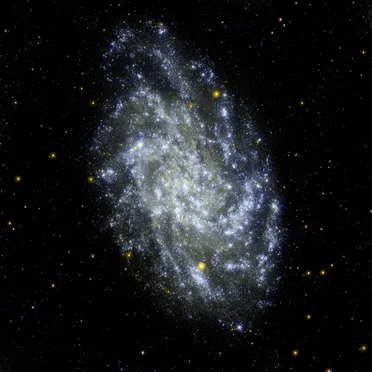 M33