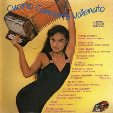 Cuarto concierto vallenato by Various Artists - album cover