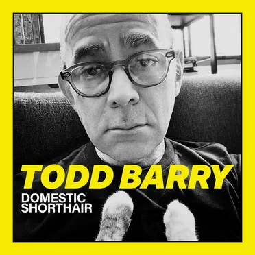 Domestic Shorthair by Todd Barry - album cover