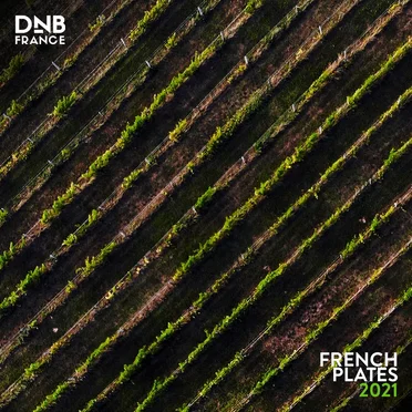 French Plates 2021 by Various Artists - album cover