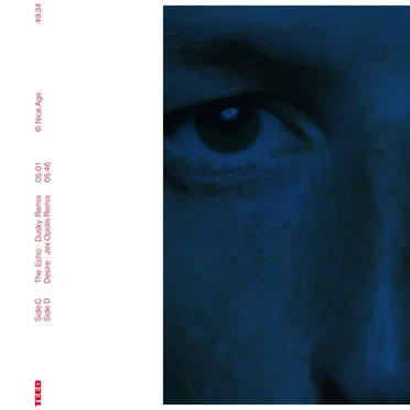 The Echo / Desire (remixes)