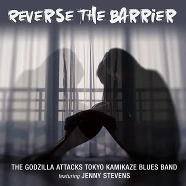 Reverse The Barrier
