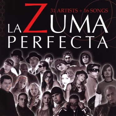 La zuma perfecta by Various Artists - album cover