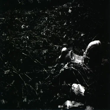 Here's to Indifference by Black Rose Diary - album cover