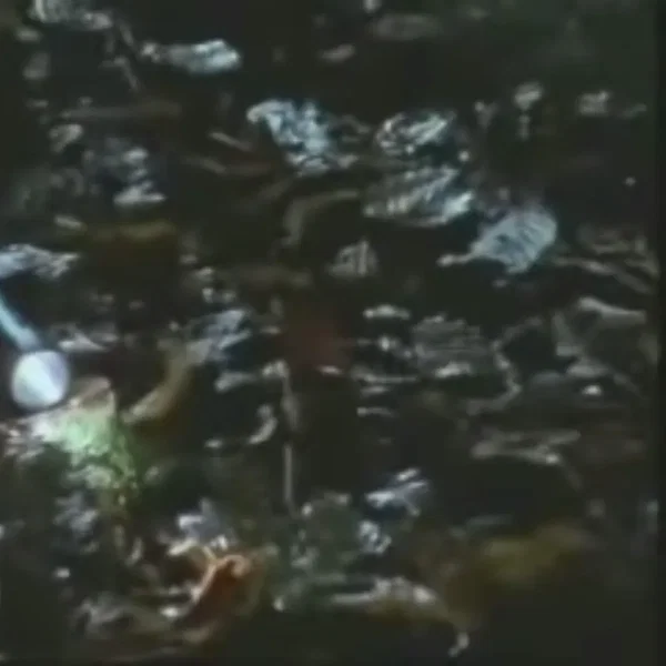 don’t be scared, it’s me