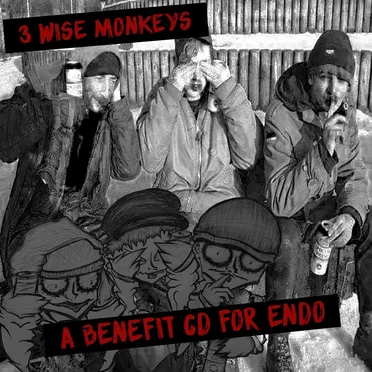 3 Wise Monkeys - A Benefit Compilation for Endo by Various Artists - album cover
