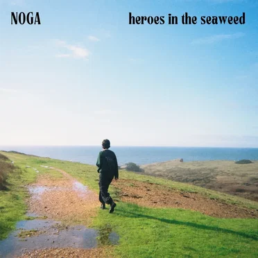 Heroes in the Seaweed by Noga - album cover