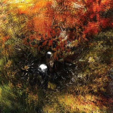 Skinweeper by Bergrún Snæbjörnsdóttir - album cover