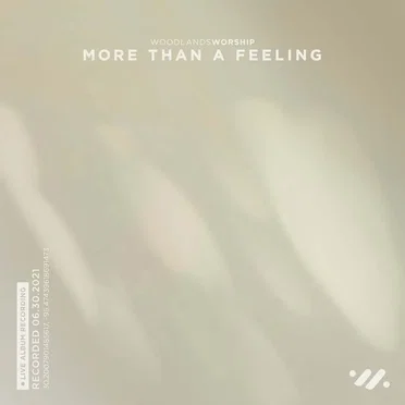 More Than a Feeling (live)