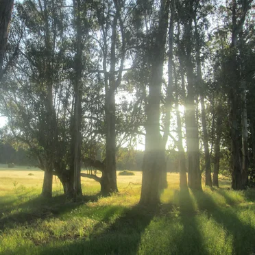 An Afternoon at Pinole Shores Park