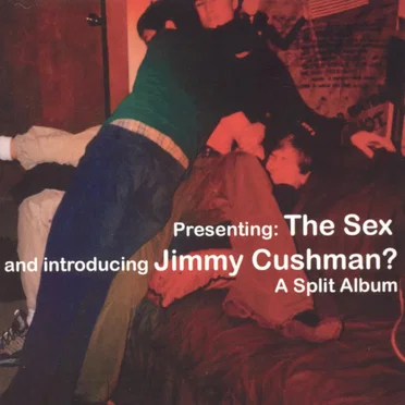 A Split Album by The Sex - album cover