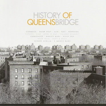 The History of Queensbridge by Various Artists - album cover