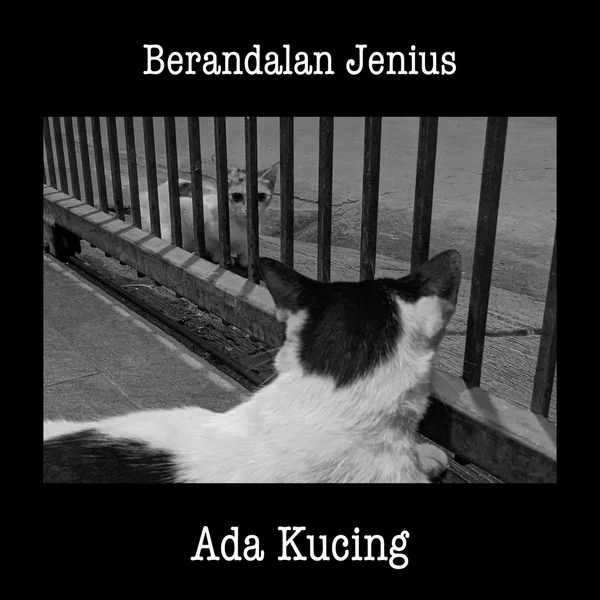 Ada Kucing