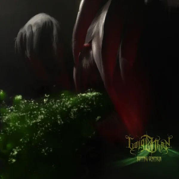 Rotting Genitalia
