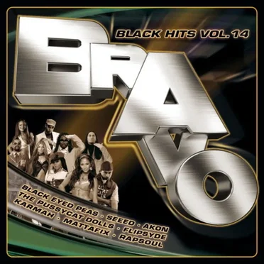 Bravo Black Hits, Vol. 14 by Various Artists - album cover