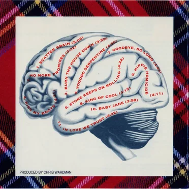 Scatterbrain