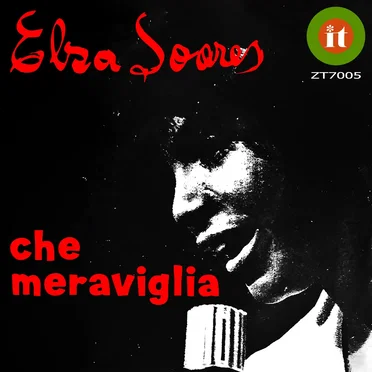 Maschera negra / Che meraviglia