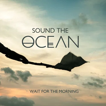 Wait for the Morning by Sound the Ocean - album cover