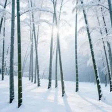 A WInter's Day by Ca 96 - album cover