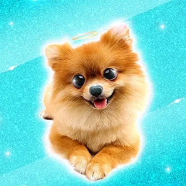 Pomeranians by Lucas Cruikshank - album cover
