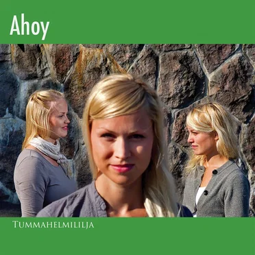 Tummahelmililja by Ahoy! - album cover