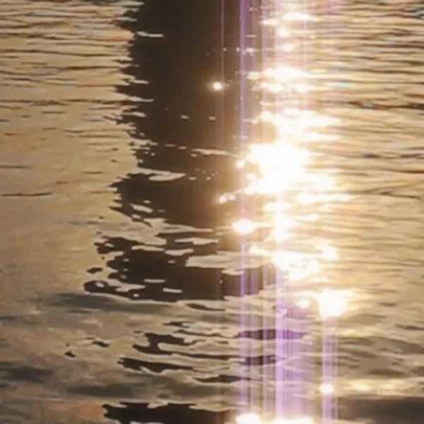 Blissful Lights