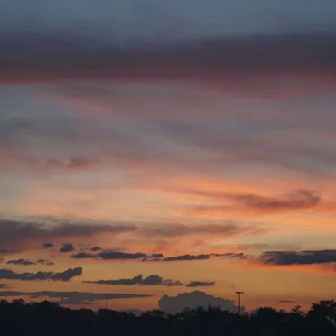 Let Me Bounce in Peace