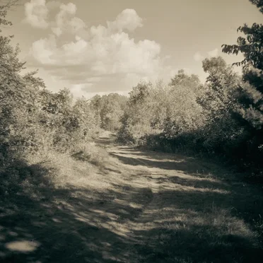 Old Paths