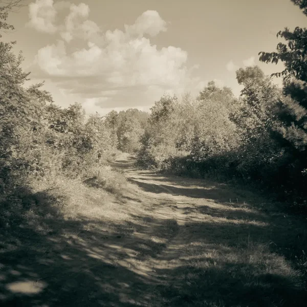 Old Paths