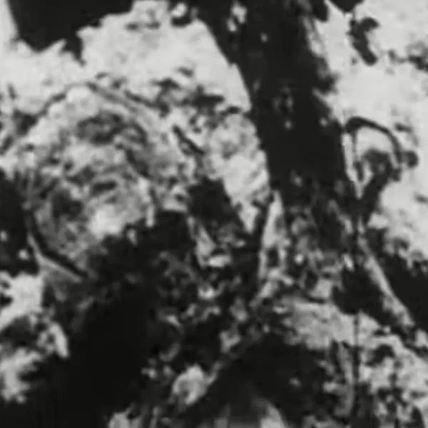 Begotten Chapter XIII (The End)