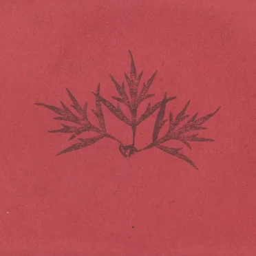 Language of Red Goats