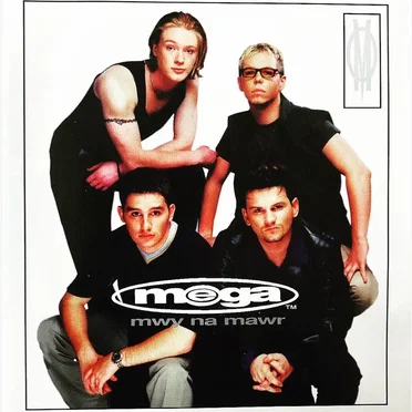 Mwy Na Mawr by Mega - album cover