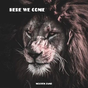 Here We Come by Nosson Zand - album cover
