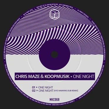 One Night by Chris Maze - album cover