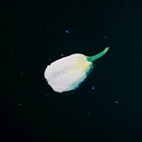 球根