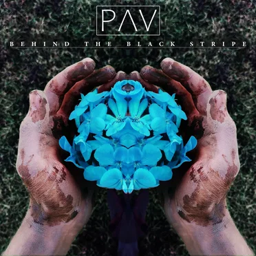 Behind the Black Stripe by Pav - album cover